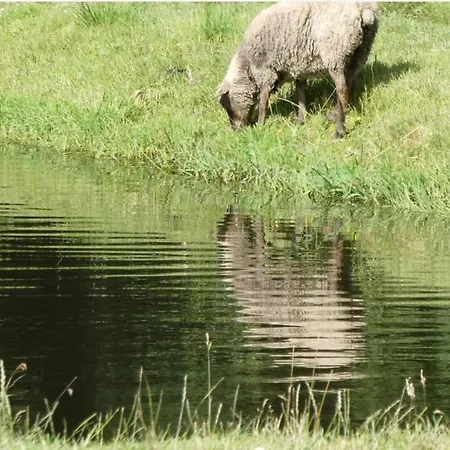 5 Person In Hovborg-by Traum